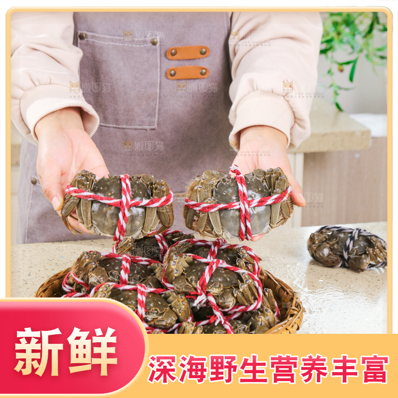 浅底上的鲜活螃蟹