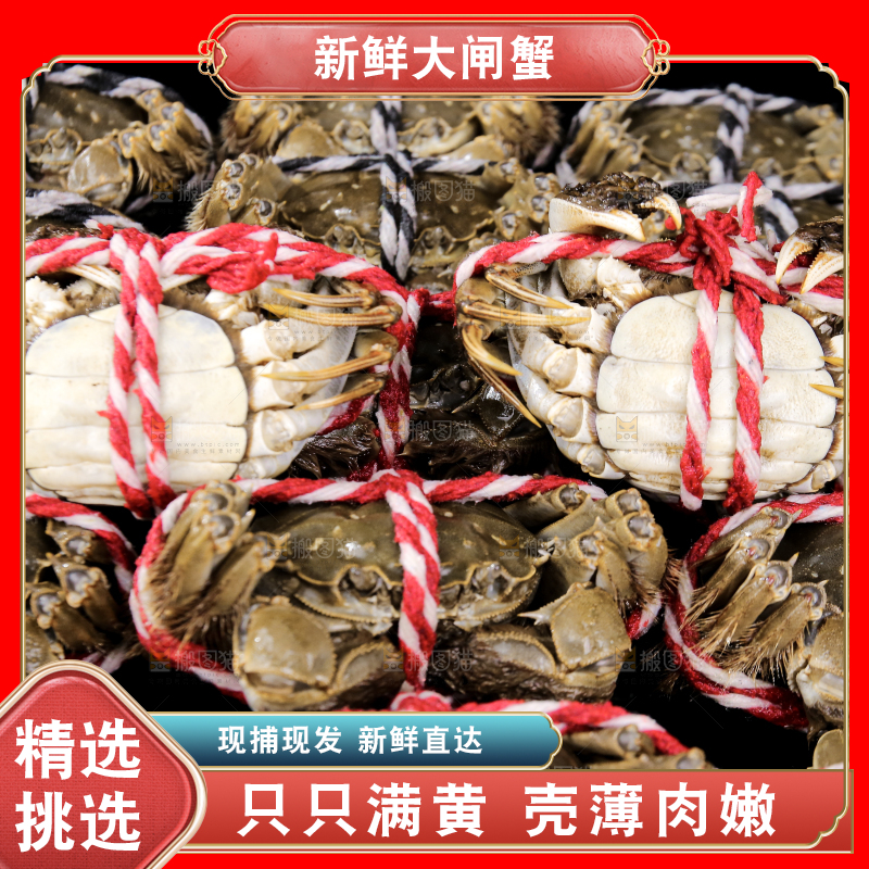黑底上的鲜活大闸蟹