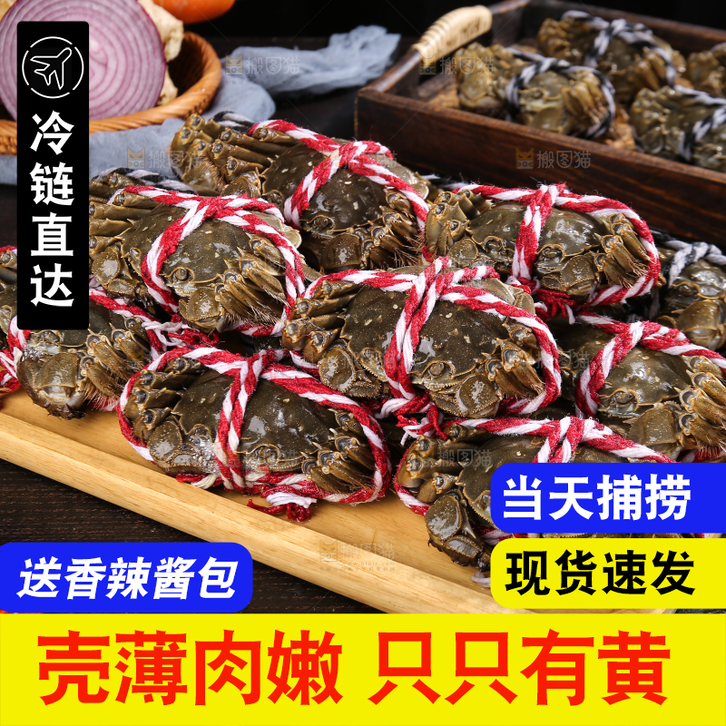 黑底上的鲜活大闸蟹