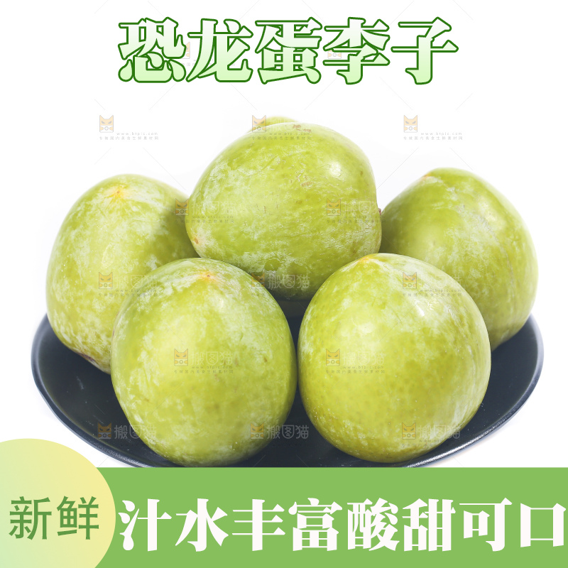 白底上放着新鲜恐龙蛋