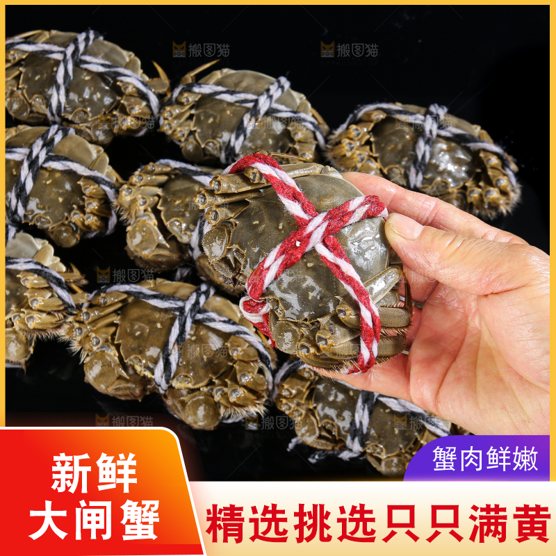 黑底上的鲜活大闸蟹