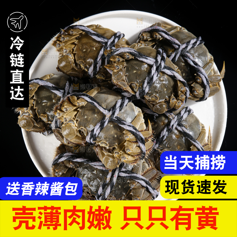 黑底上的鲜活大闸蟹