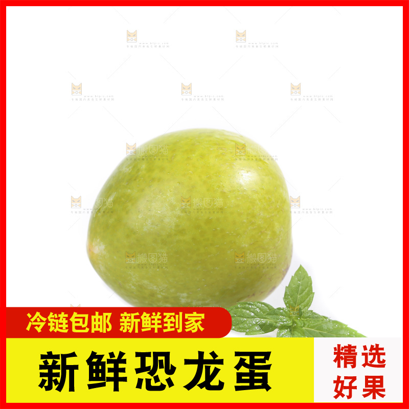 白底上放着新鲜恐龙蛋