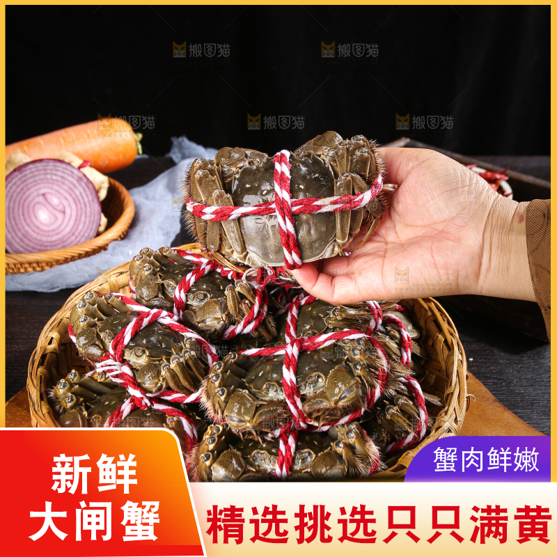 黑底上的鲜活大闸蟹