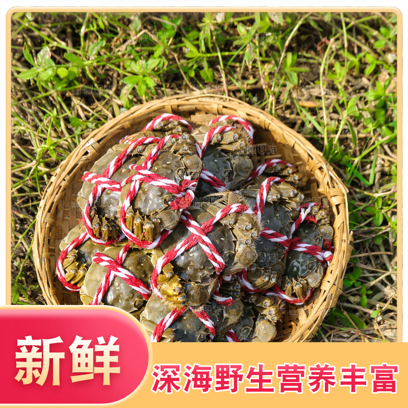 手里拿着阳澄湖大闸蟹