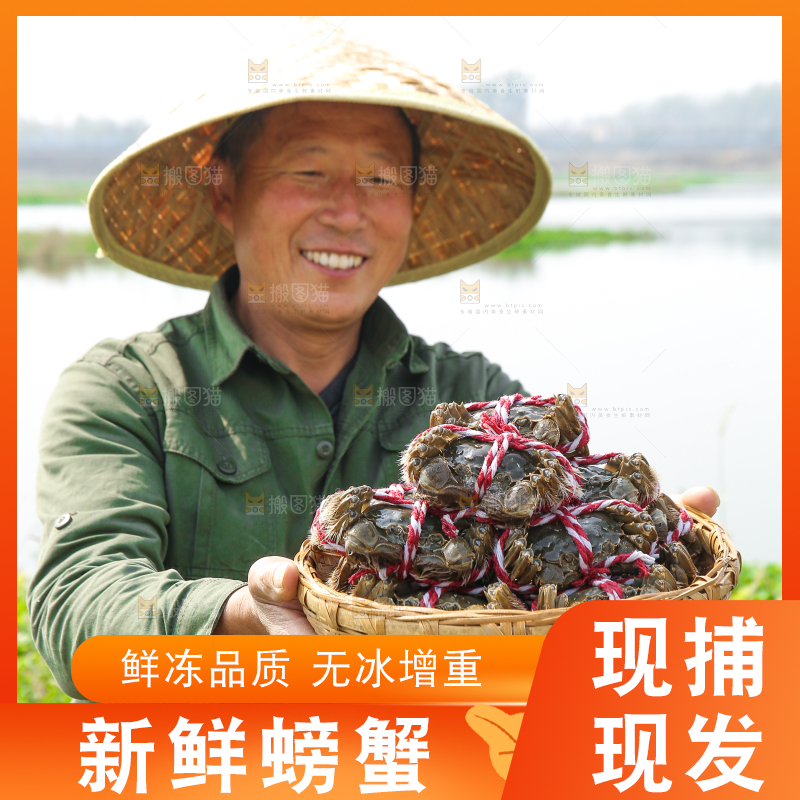 手里拿着阳澄湖大闸蟹