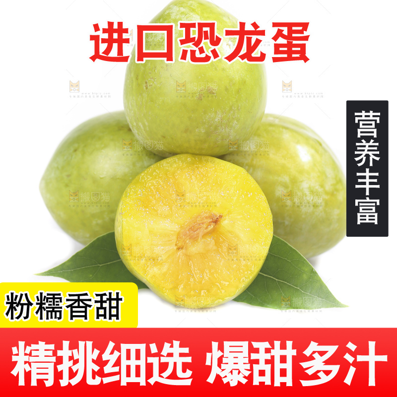 白底上放着新鲜恐龙蛋