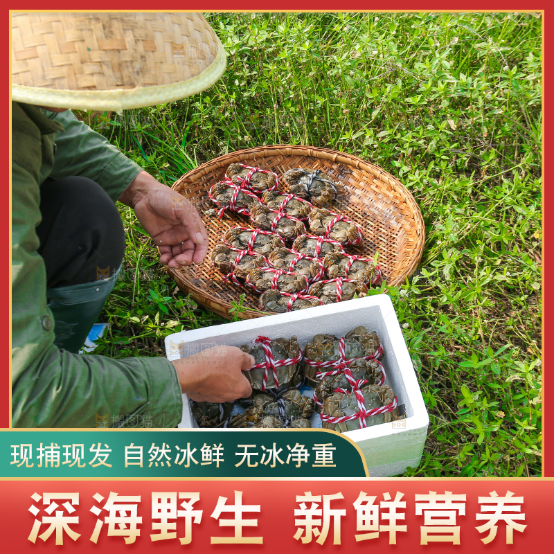 手里拿着阳澄湖大闸蟹
