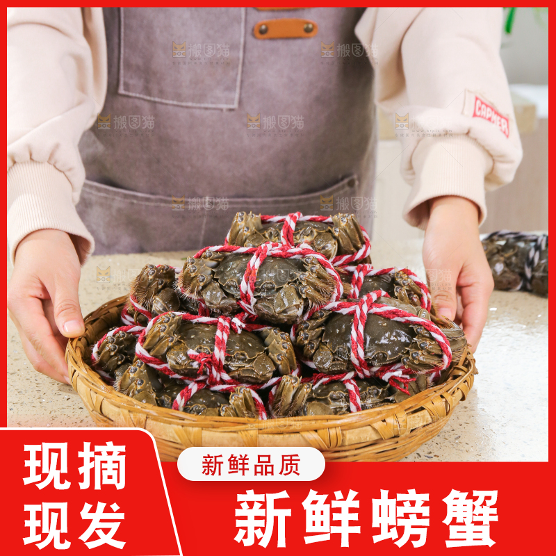 浅底上的鲜活螃蟹