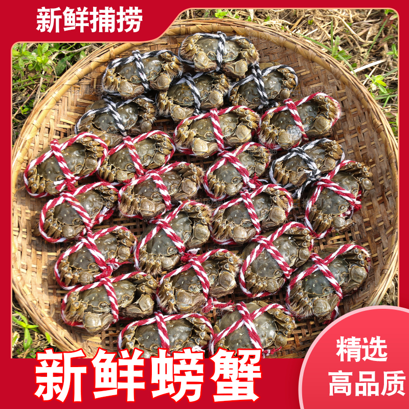手里拿着阳澄湖大闸蟹