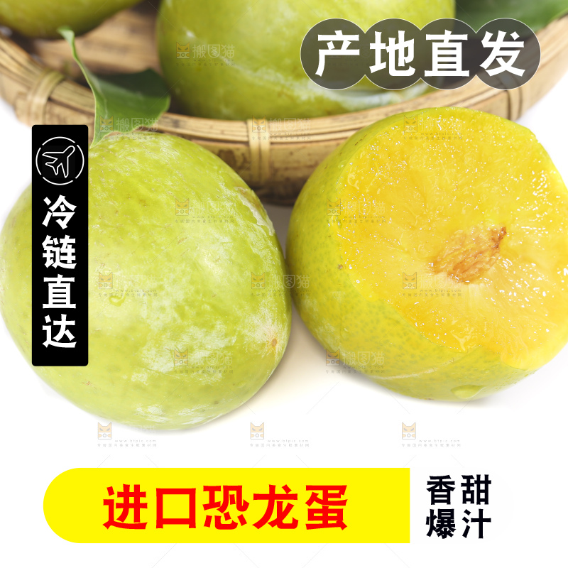 白底上放着新鲜恐龙蛋