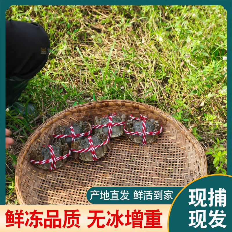 手里拿着阳澄湖大闸蟹