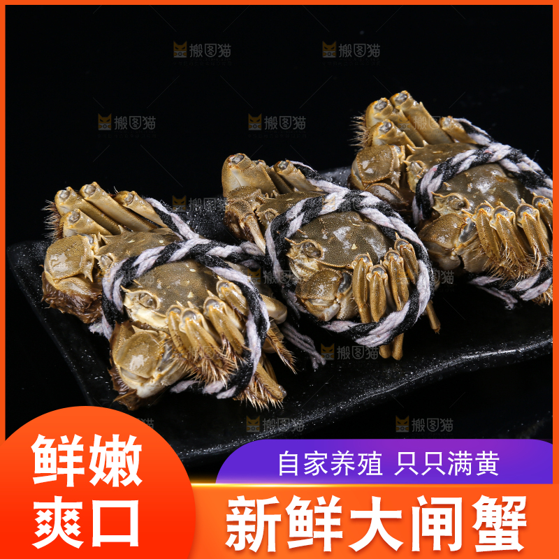 黑底上的鲜活大闸蟹