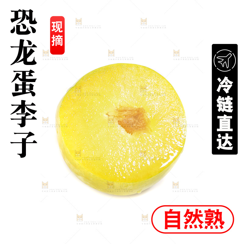 白底上放着新鲜恐龙蛋