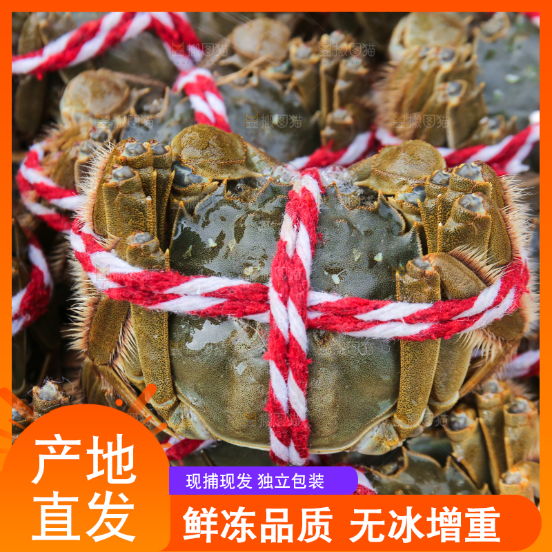 手里拿着阳澄湖大闸蟹