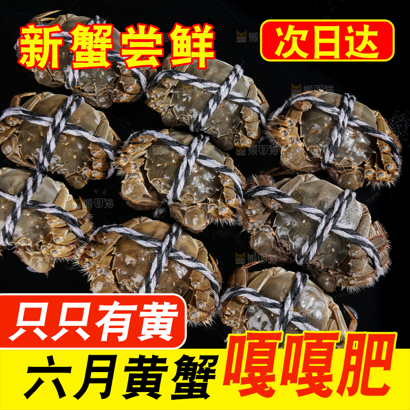 黑底上的鲜活大闸蟹