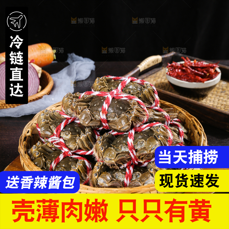 黑底上的鲜活大闸蟹