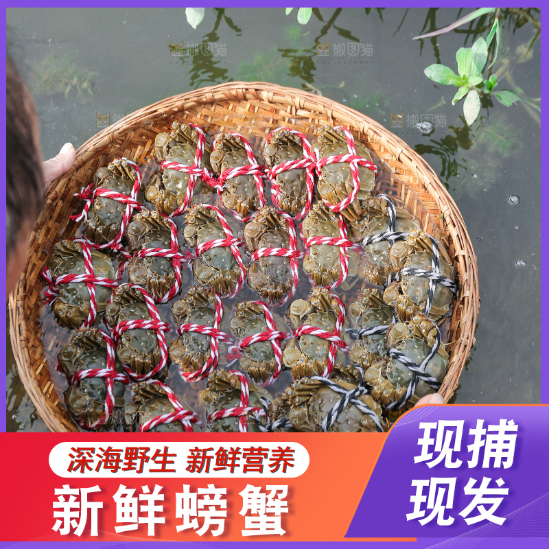 手里拿着阳澄湖大闸蟹