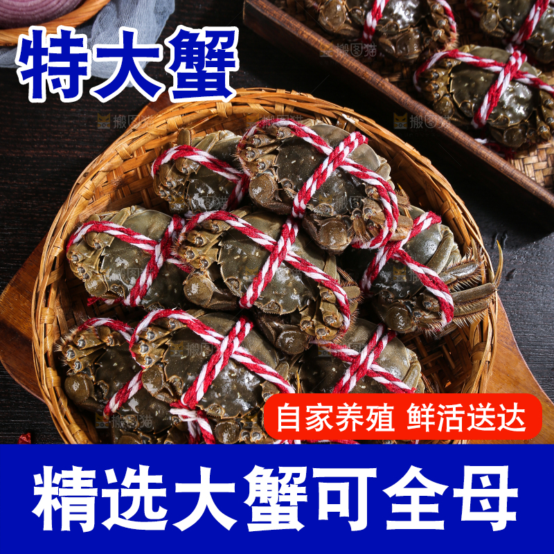 黑底上的鲜活大闸蟹