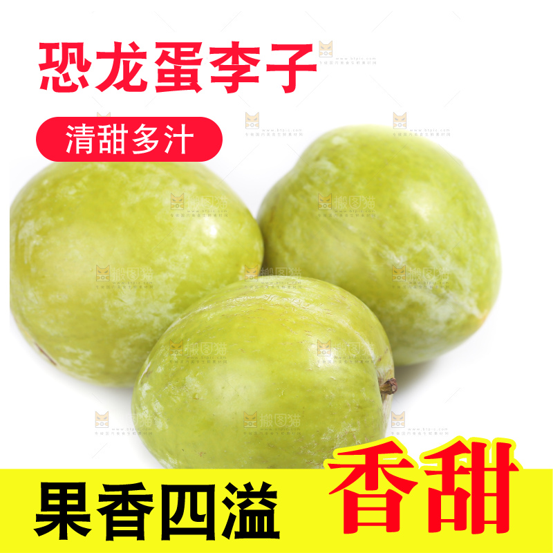 白底上放着新鲜恐龙蛋