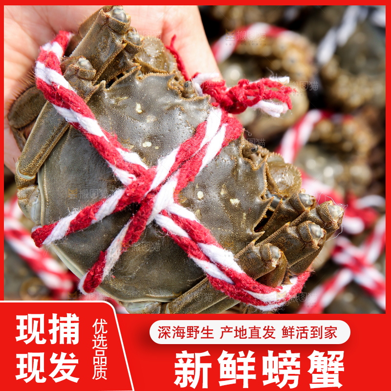 手里拿着阳澄湖大闸蟹