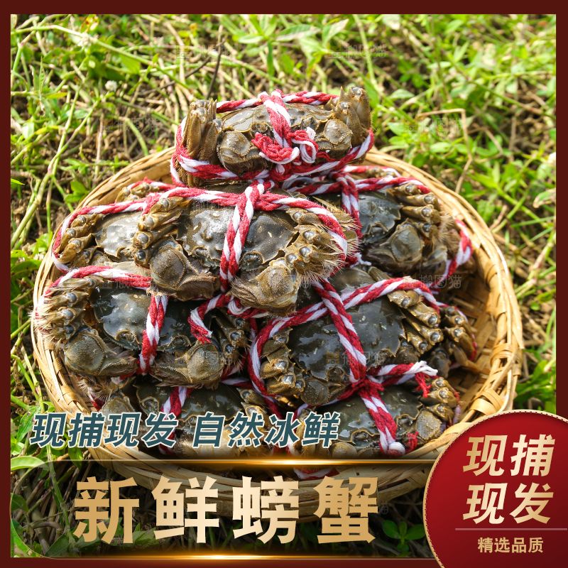 手里拿着阳澄湖大闸蟹