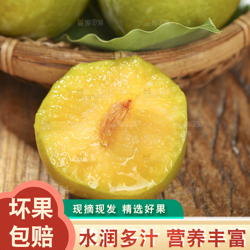 木底上放着恐龙蛋李