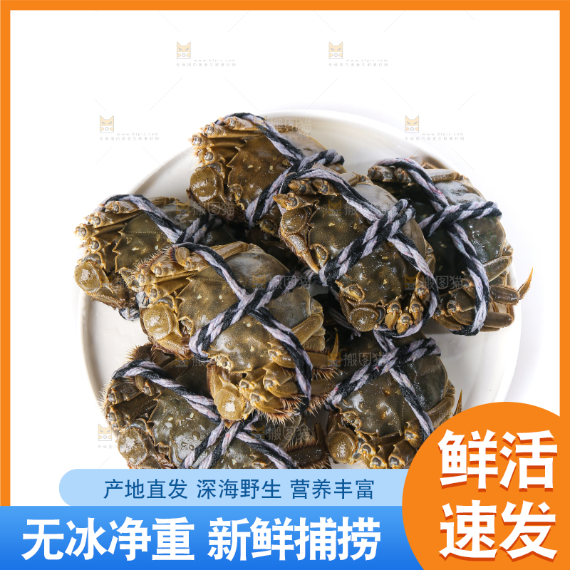 白底上的大闸蟹