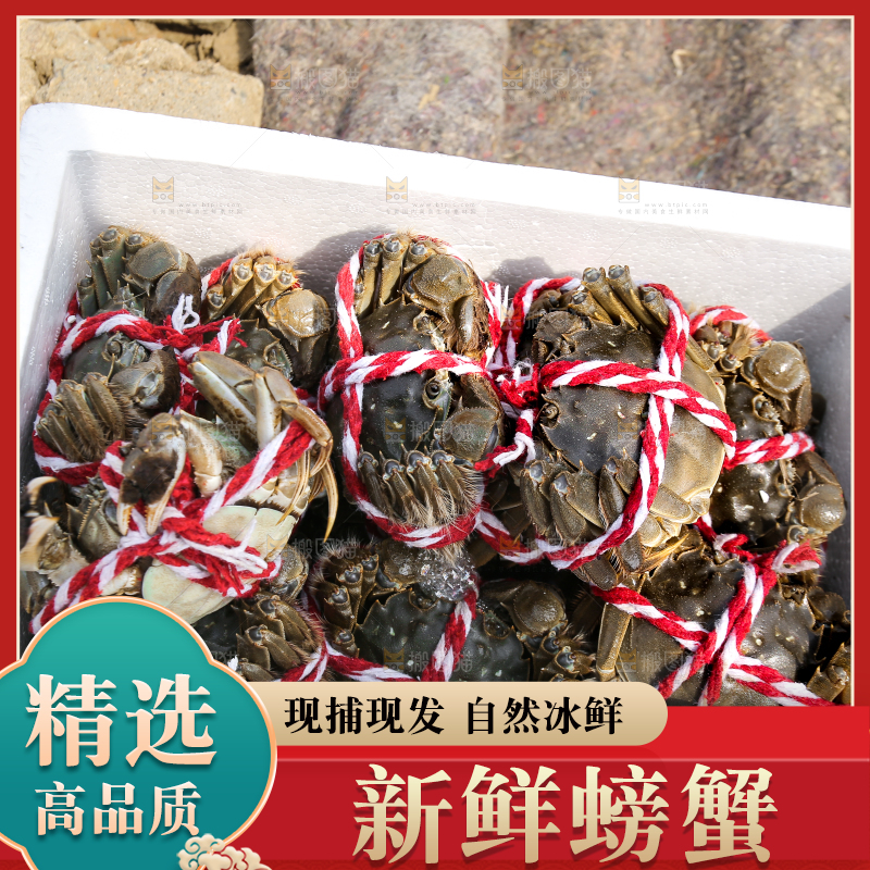 手里拿着阳澄湖大闸蟹