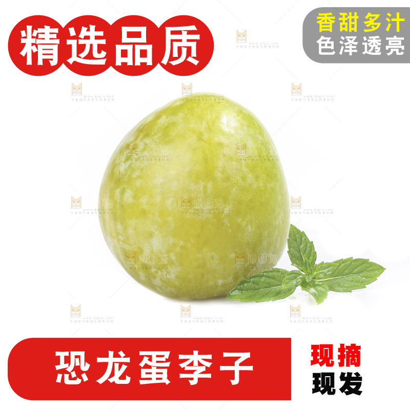 白底上放着新鲜恐龙蛋