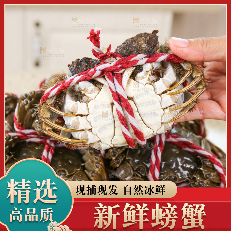 浅底上的鲜活螃蟹
