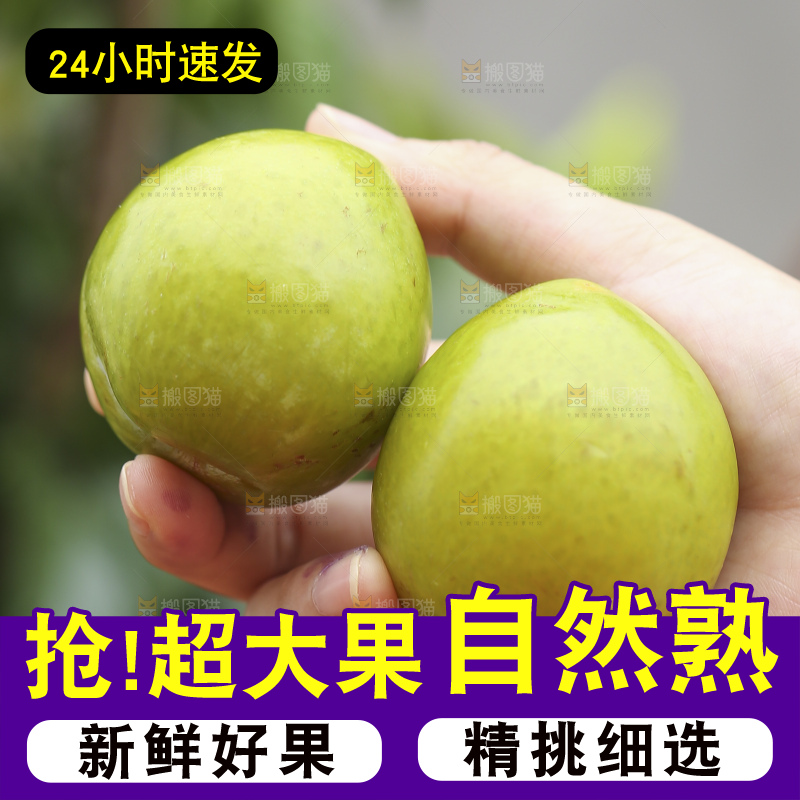 手里拿着恐龙蛋李子