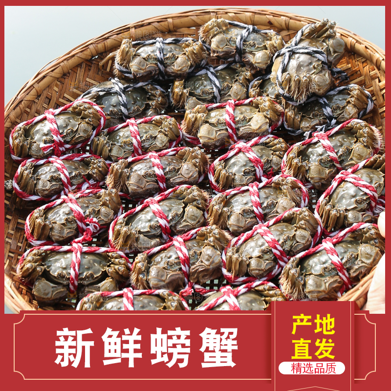 手里拿着阳澄湖大闸蟹
