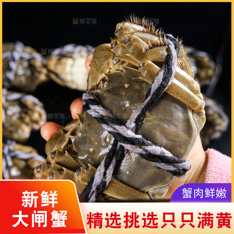 黑底上的鲜活大闸蟹