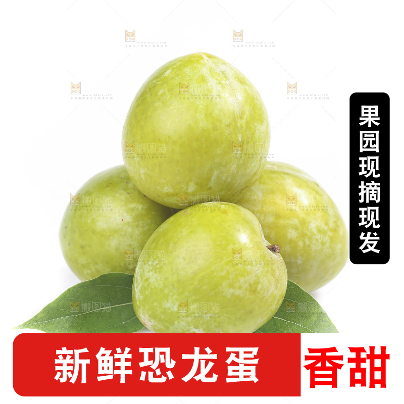 白底上放着新鲜恐龙蛋