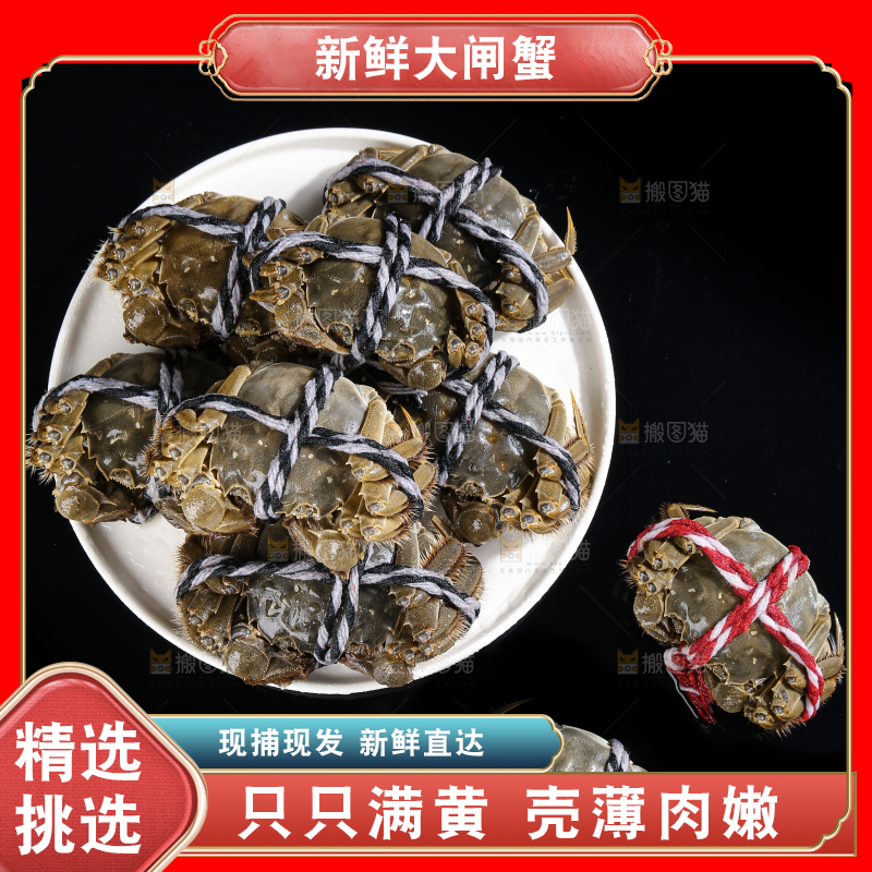黑底上的鲜活大闸蟹