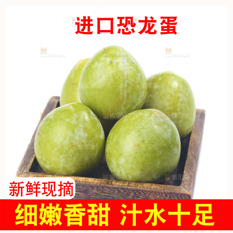白底上放着新鲜恐龙蛋