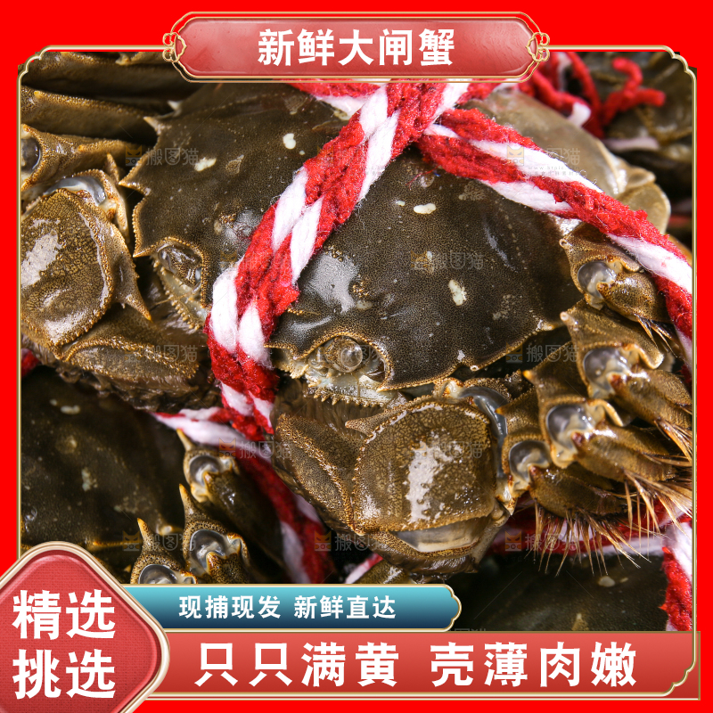 黑底上的鲜活大闸蟹