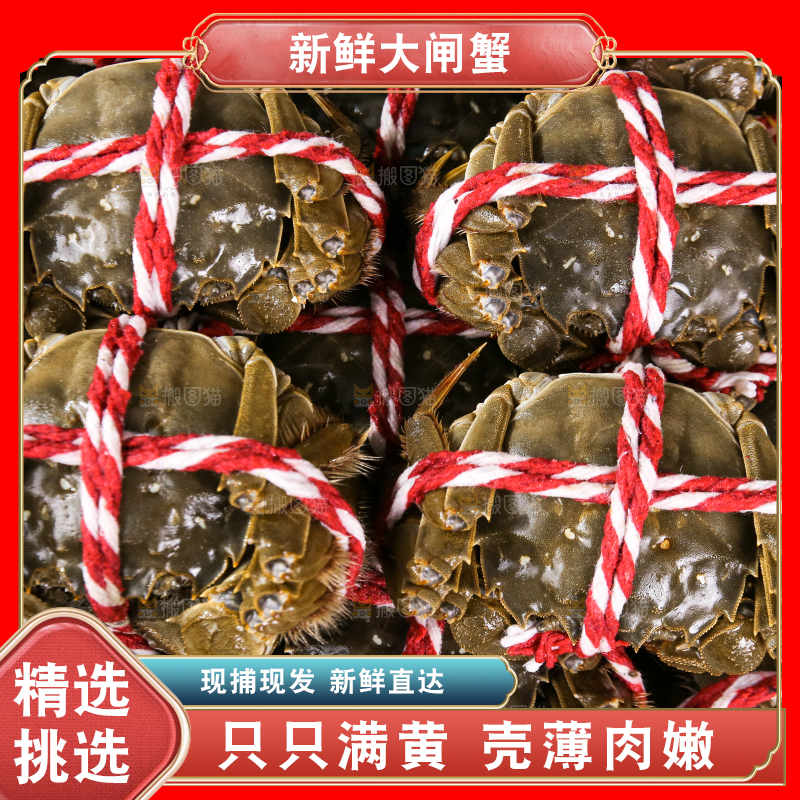 黑底上的鲜活大闸蟹