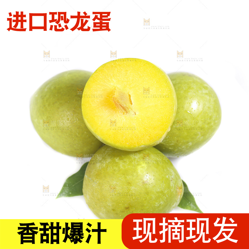 白底上放着新鲜恐龙蛋