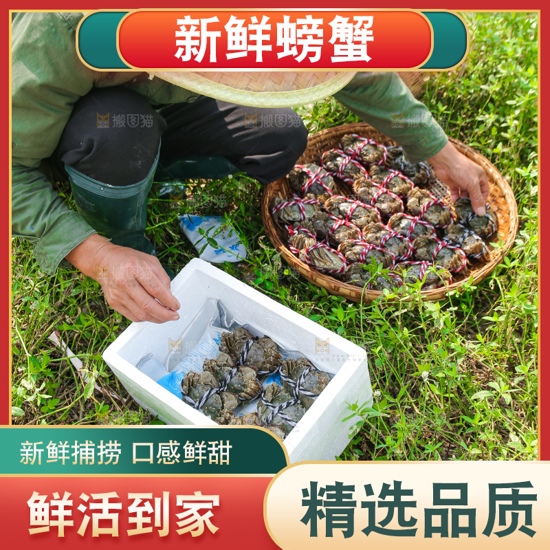 手里拿着阳澄湖大闸蟹