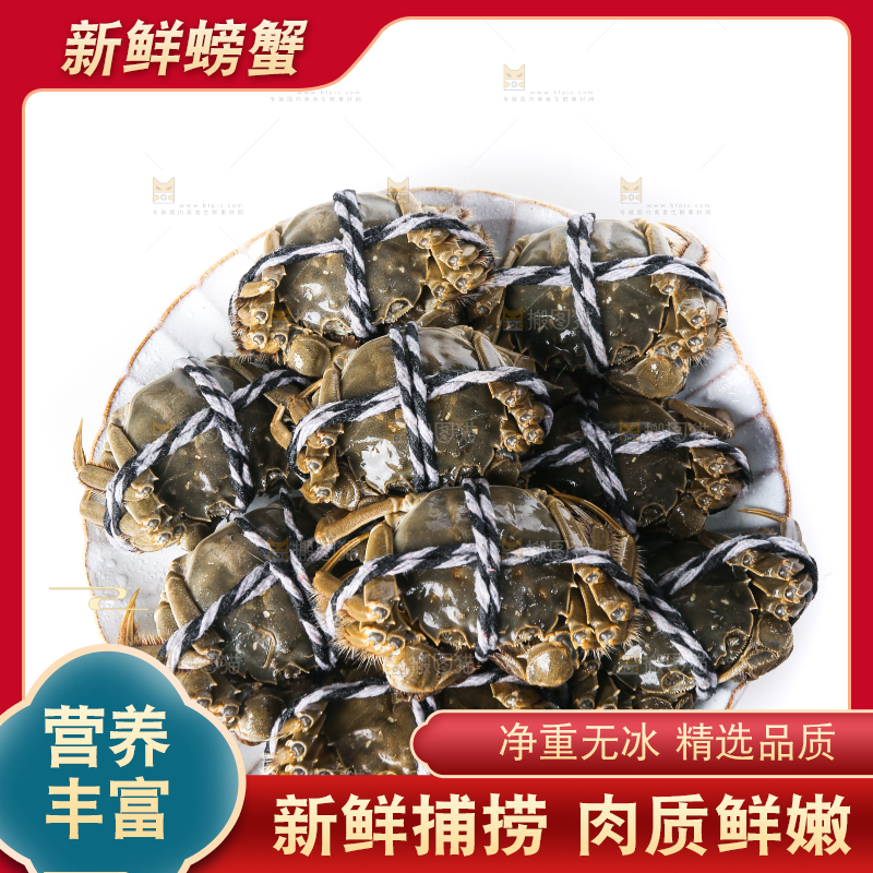 白底上的大闸蟹