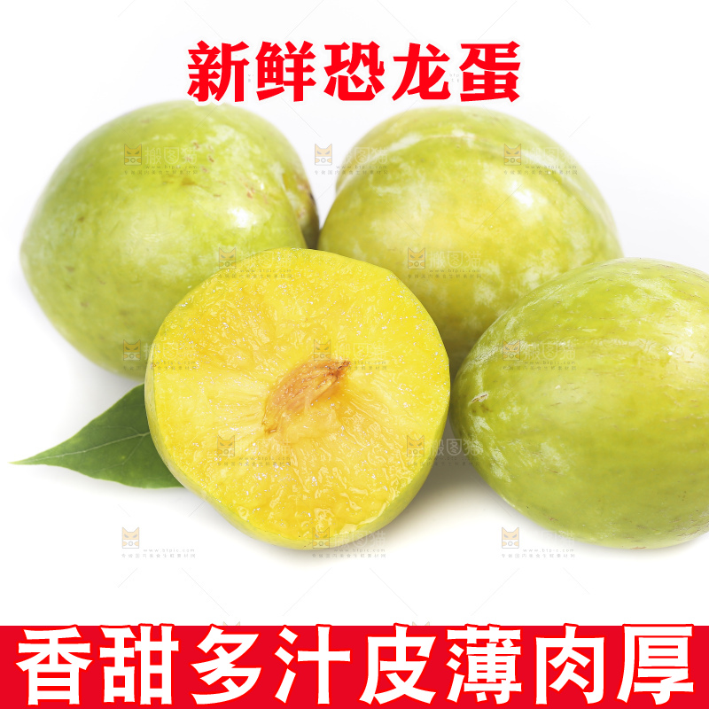 白底上放着新鲜恐龙蛋