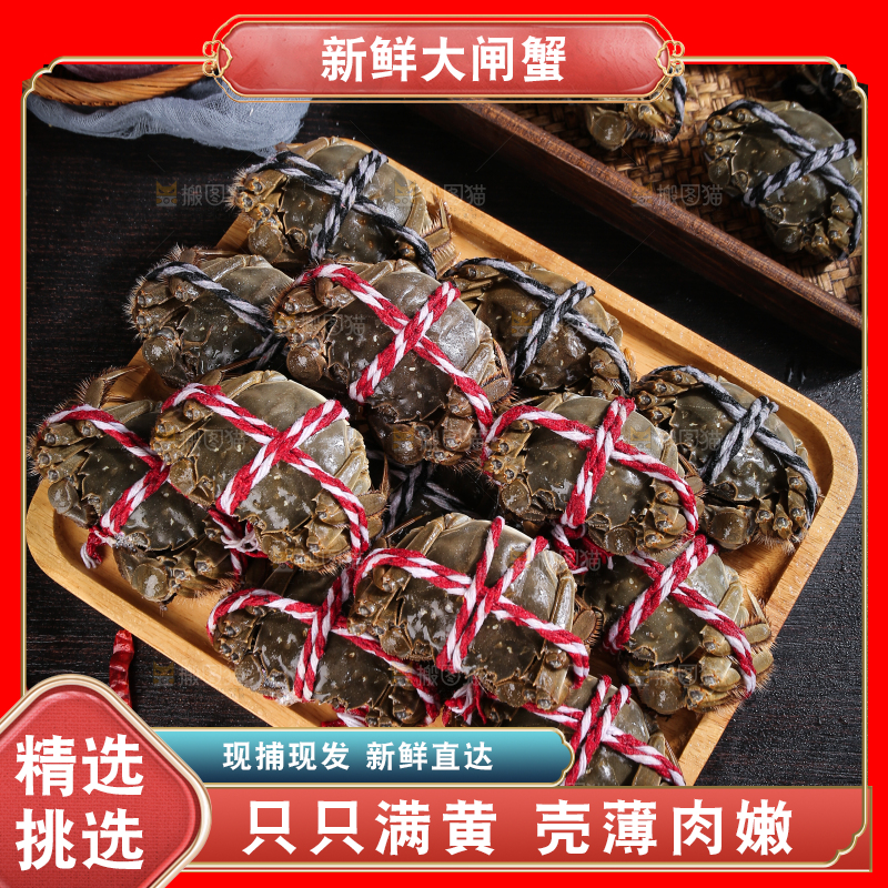 黑底上的鲜活大闸蟹