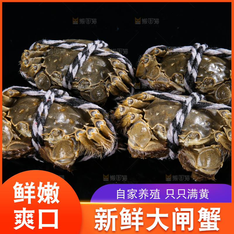 黑底上的鲜活大闸蟹