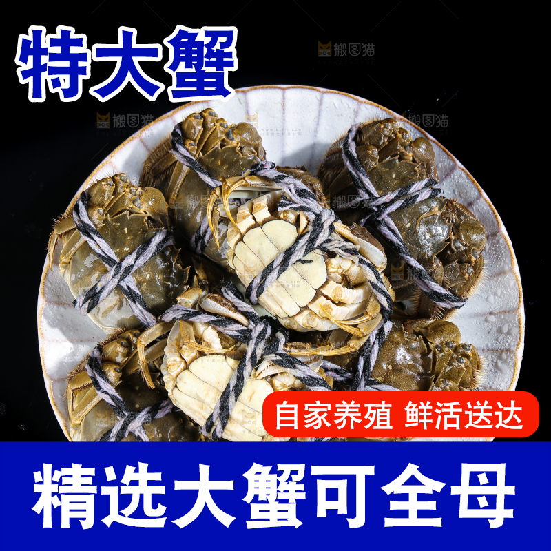 黑底上的鲜活大闸蟹