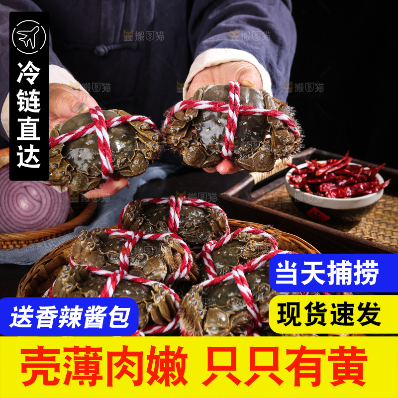 黑底上的鲜活大闸蟹