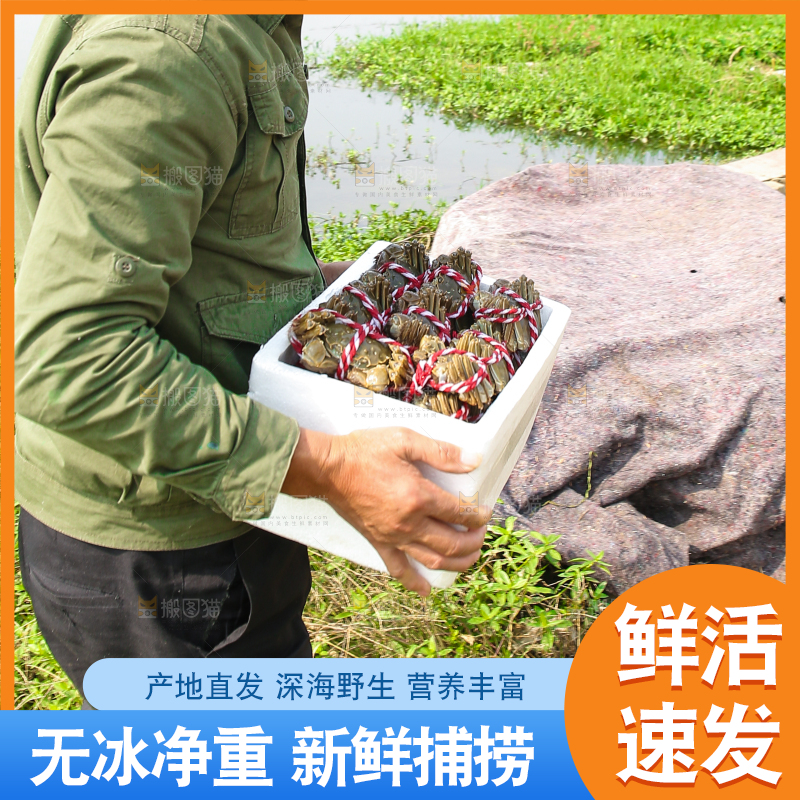 手里拿着阳澄湖大闸蟹
