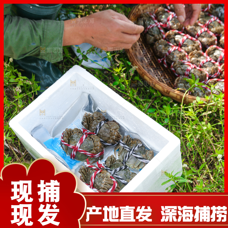 手里拿着阳澄湖大闸蟹