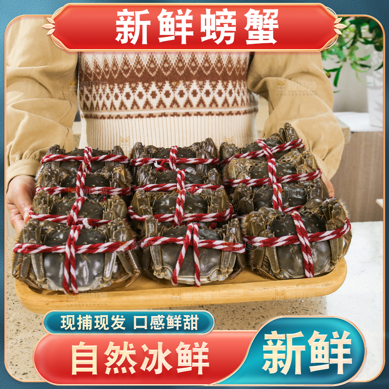 浅底上的鲜活螃蟹